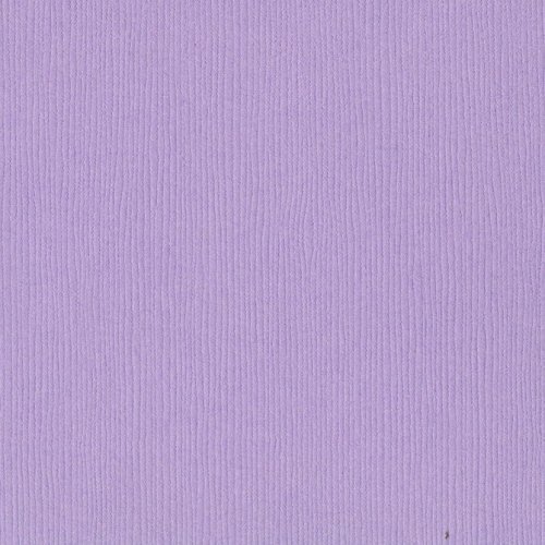 Papier mauve - Purple Palisades - Palissades violettes - Fourz - Bazzill Basics Paper