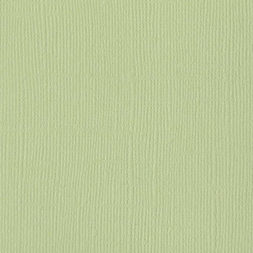 Papier vert clair  « Aloe vera » - Mono - Bazzill Basics Paper