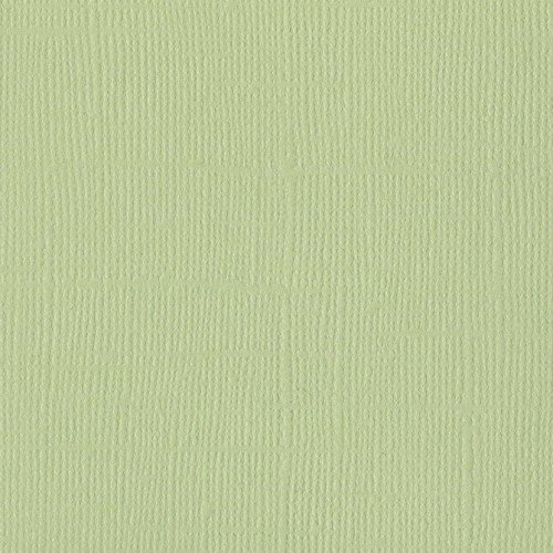 Papier vert clair  « Aloe vera » - Mono - Bazzill Basics Paper