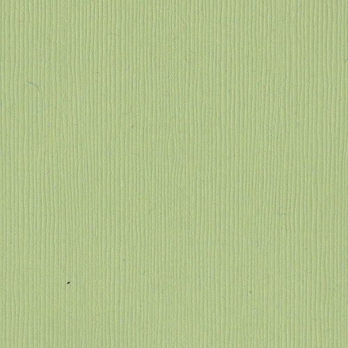 Papier vert pastel - Spring Breeze - Brise printanière - Fourz - Bazzill Basics Paper