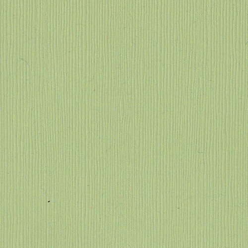 Papier vert pastel - Spring Breeze - Brise printanière - Fourz - Bazzill Basics Paper